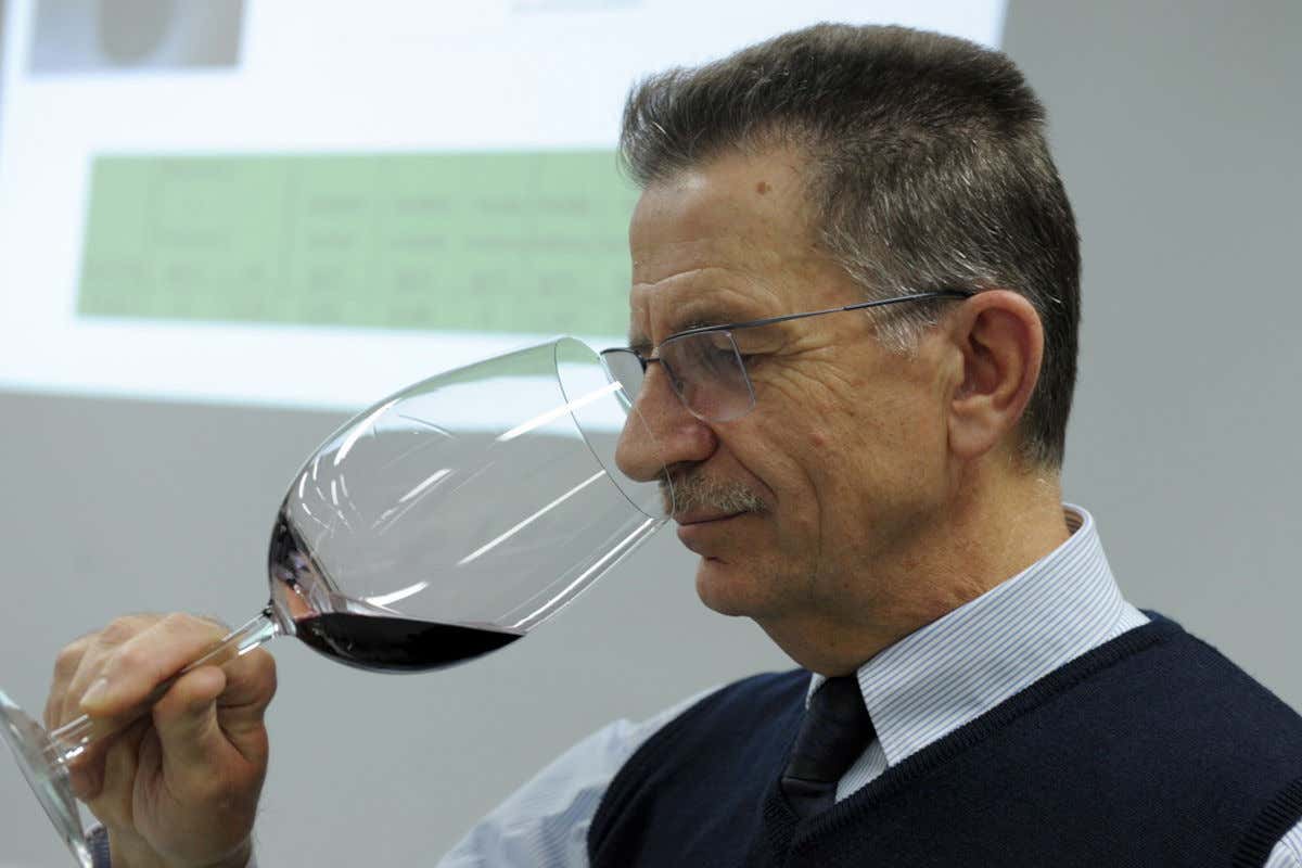 Vincenzo Gerbi, presidente del comitato scientifico Onav 